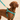 Collars, Leashes, and Harnesses